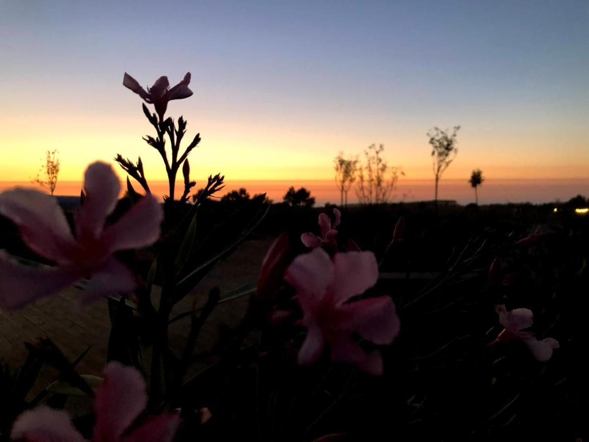 Quinta Do Planalto Vicentino - Casas De Campo 阿尔热祖尔 外观 照片