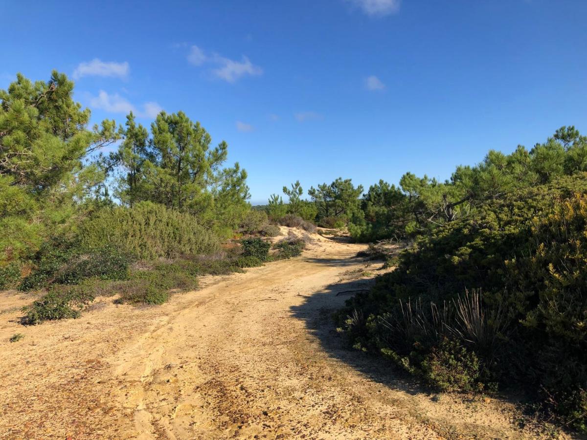 Quinta Do Planalto Vicentino - Casas De Campo 阿尔热祖尔 外观 照片